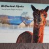 Geschenkverpackung – Bild 3