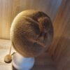 Strickmütze "Natura" mit Bommeln – Bild 3