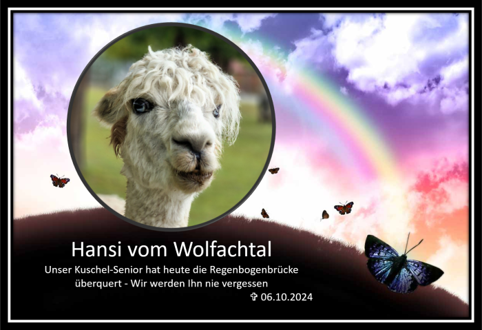 Sterbeanzeige Hansi Sterbeanzeige Hansi
