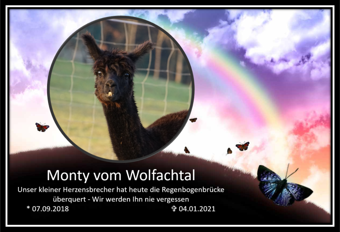 Monty Monty