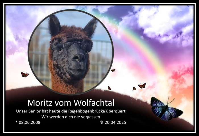 Moritz Moritz